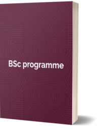 BSc progamme